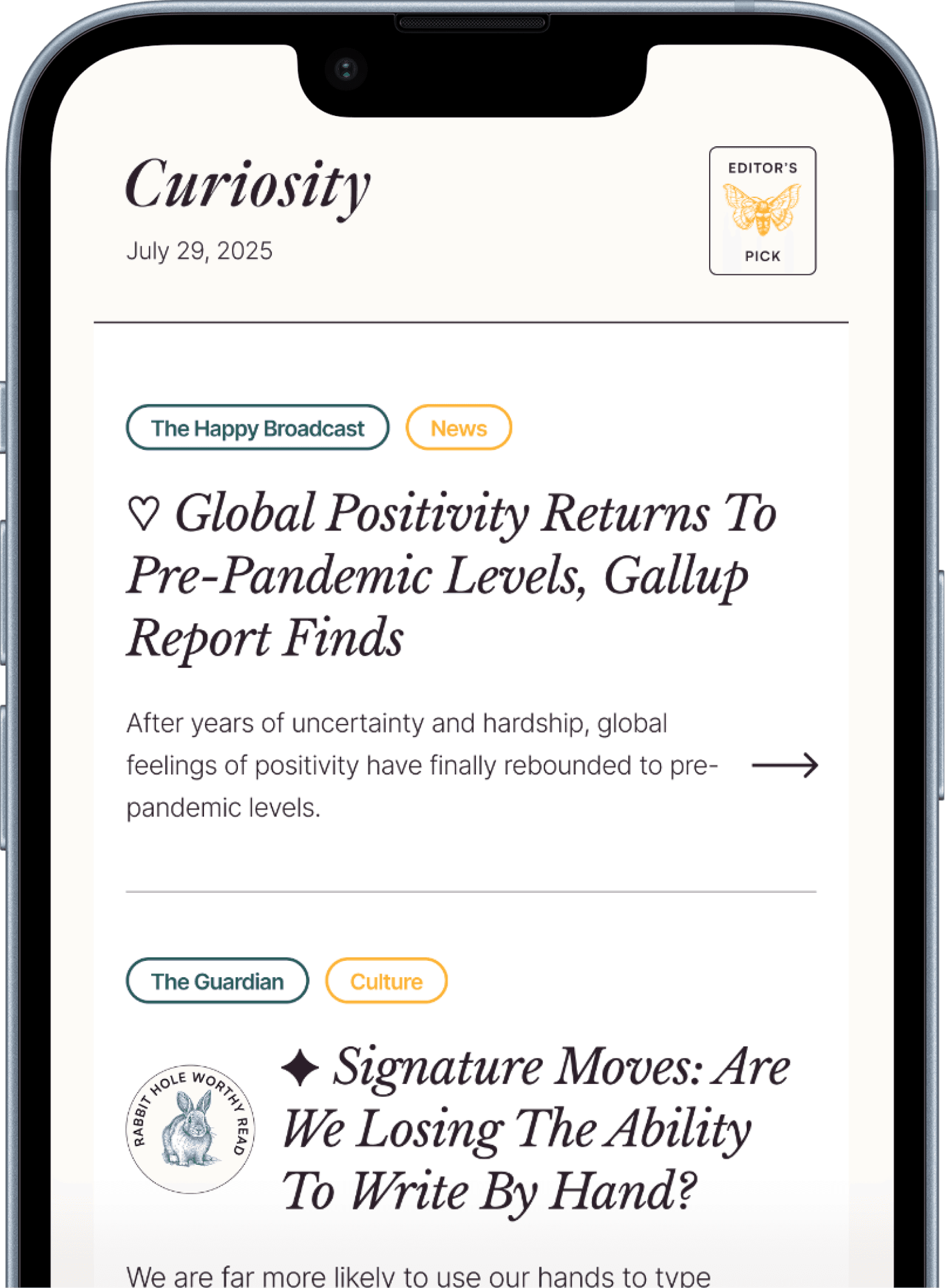 App preview on phone